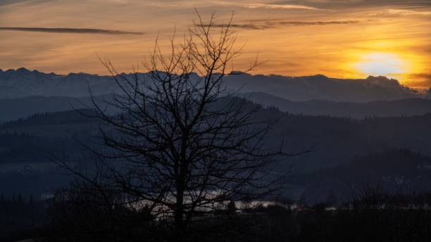 istock the sun is setting over a snow capped mountain range with trees in the foreground 1817107819