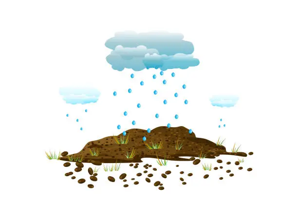 Vector illustration of Rain of cloud falling on pile soil with grass. Arid earth, young plant and water drops.