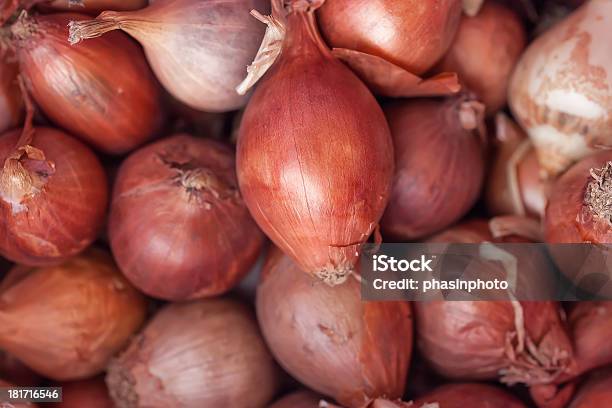 Zbliżenie Grupy Cebula - zdjęcia stockowe i więcej obrazów Bez ludzi - Bez ludzi, Cebula, Cebulka