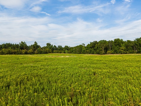 Beautiful rolling landscape on a spring day.Natural spring landscape.