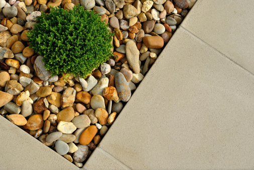 Landscaping combinations of plant, pebbles and paving