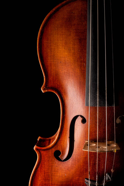 Violino - foto de acervo