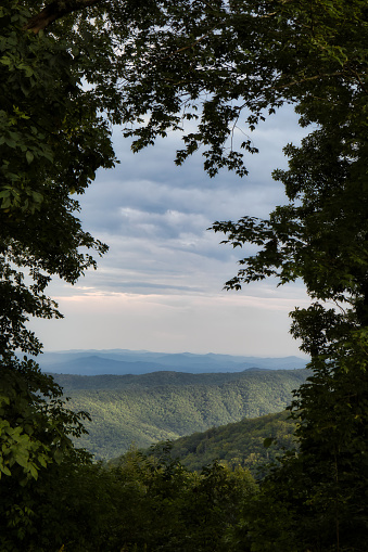 An opening in the trees frames a vista overlooking the mountains along the Blue Ridge Parkway