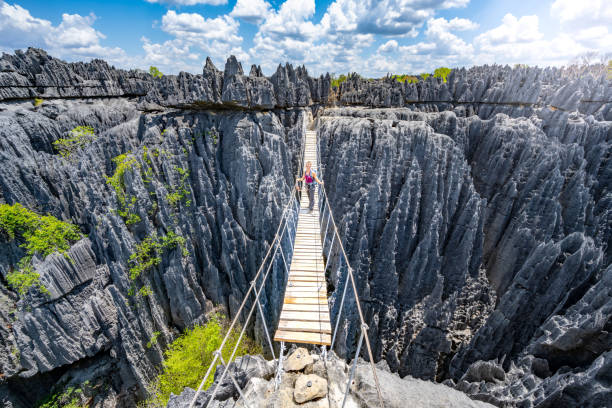 istock Female backpacker with climbing harness stands on a wooden hanging bridge over a steep, gray sandstone gorge with a thousand peaks. Tsingy de Bemaraha National Park, Madagascar, Africa. 1817243949