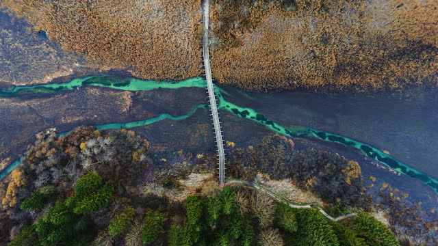 AERIAL Drone Shot of Wooden Footbridge Over Marshy Turquoise River in Zelenci Nature Reserve