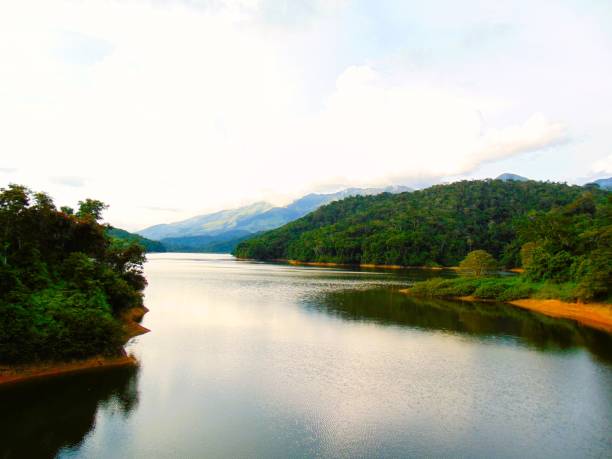 istock Lagoon in the middle of forests 1817253567