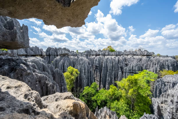 istock Sharp, steep, gray sandstone gorge with a thousand peaks and green trees photographed from the highest point. Tsingy de Bemaraha National Park, Madagascar, Africa. 1817255236