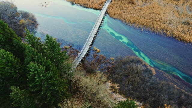AERIAL Drone Shot of Wooden Footbridge Over Swampy Turquoise River along Trees in Zelenci Nature Reserve