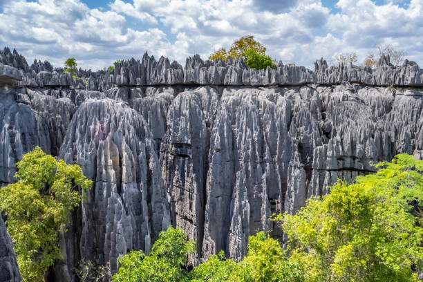 istock Sharp, steep, gray sandstone gorge with a thousand peaks and green trees photographed from the highest point. Tsingy de Bemaraha National Park, Madagascar, Africa. 1817272851