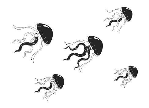 Swarm jellyfish swimming together black and white 2D line cartoon object. Group of jelly medusa floating isolated vector outline item. Sea creatures underwater monochromatic flat spot illustration