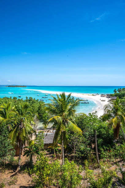 Paradisiacal white sand beach with tourists leading into the turquoise blue, clear sea with boats, photographed from hill on green palm tree island. Nosy Be, Nosy Iranja, Madagascar, Africa. Description: Paradisiacal white sand beach with tourists leading into the turquoise blue, clear sea with boats, photographed from hill on green palm tree island. Nosy Be, Nosy Iranja, Madagascar, Africa. madagascar beach photos stock pictures, royalty-free photos & images