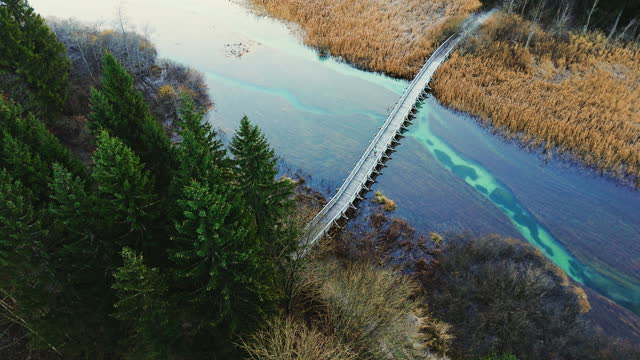 AERIAL Drone Shot of Tourist Walking on Wooden Footbridge Over Swampy Turquoise River in Zelenci Nature Reserve
