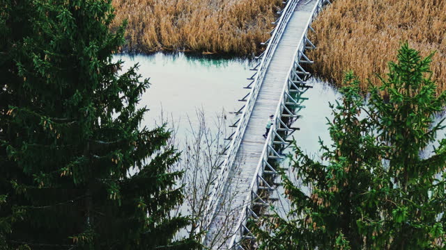 AERIAL Drone Shot of Female Tourist Walking on Wooden Footbridge Over Swampy River in Zelenci Nature Reserve