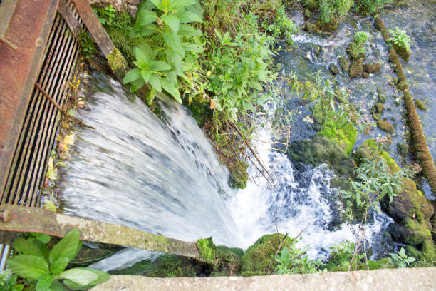 istock Krupajsko vrelo ( spring), Zagubica, Serbia. 1817306890