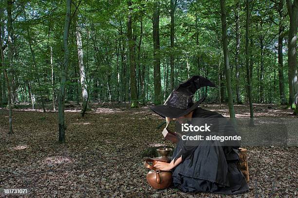 Photo libre de droit de Sorcière Dhalloween En Plein Air Dans Les Bois banque d'images et plus d'images libres de droit de Assis - Assis, Automne, Beauté