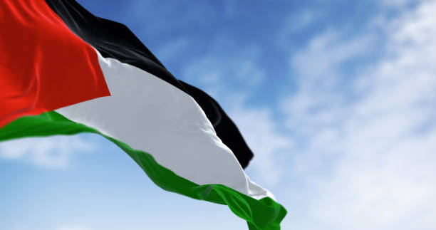 istock Palestine national flag waving on a clear day 1817329554
