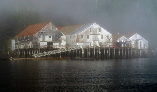 Alaskan abandoned fishing cannery in the fog