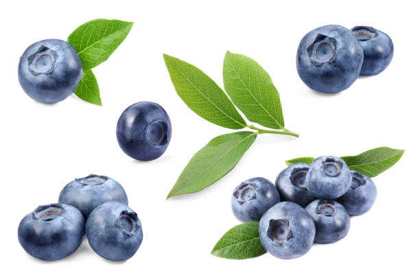 istock Set with fresh ripe blueberries and green leaves isolated in white 1817398928