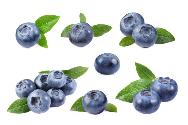 istock Set with fresh ripe blueberries and green leaves isolated in white 1817400524
