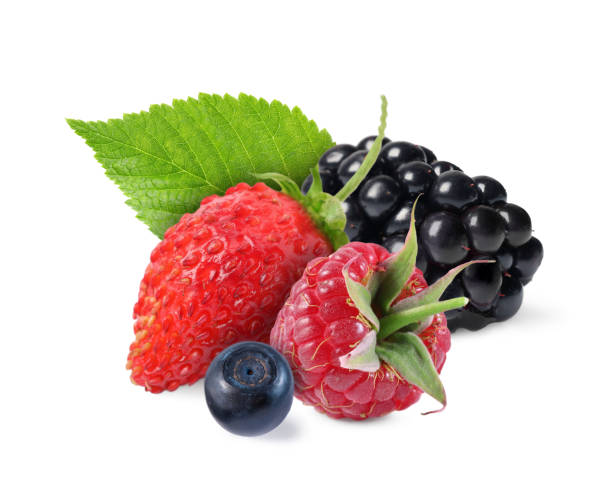 istock Wild berries. Blackberry, raspberry, strawberry, bilberry and green leaf isolated on white 1817400526