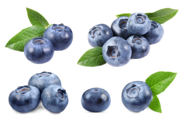 istock Set with fresh ripe blueberries and green leaves isolated in white 1817401567