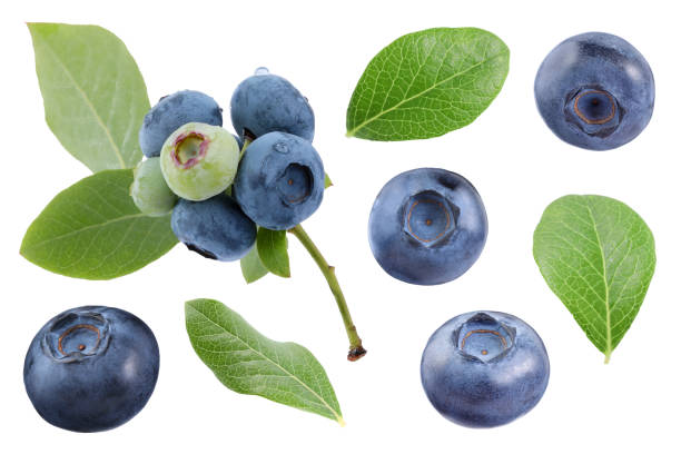 istock Set with fresh ripe blueberries and green leaves isolated in white 1817403210