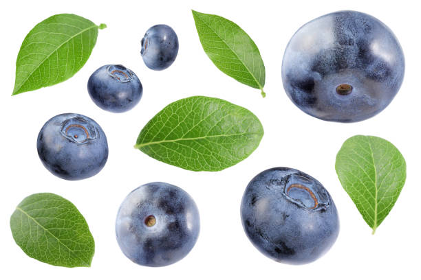 istock Set with fresh ripe blueberries and green leaves isolated in white 1817403718