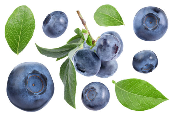 istock Set with fresh ripe blueberries and green leaves isolated in white 1817403721
