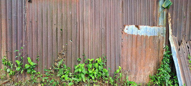 Old zinc wall texture background, Texture of rusty galvanized metal roof sheets