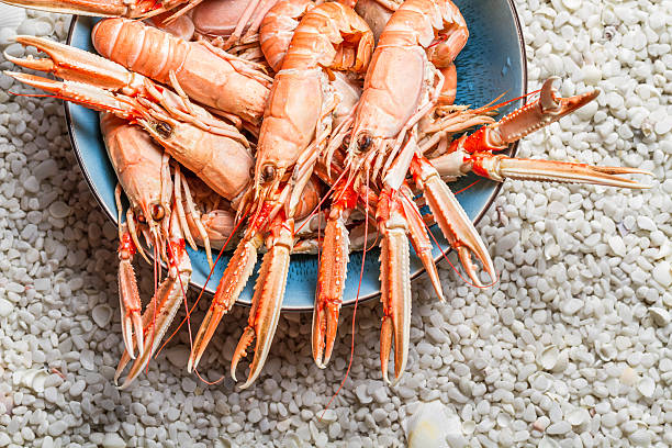 istock Fresh langoustines served on the beach 181741854