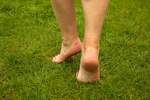 istock Woman legs on green grass 181741875