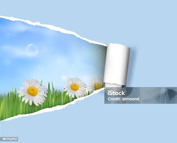 Flower Background Stock Illustration - Download Image Now - Illustration, No People, Vector