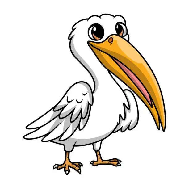 Vector illustration of Cute stork cartoon on white background