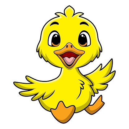 Vector illustration of Cute duckling cartoon on white background