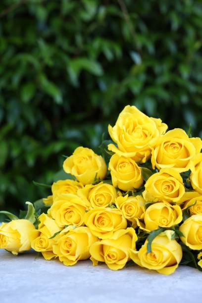 istock Beautiful bouquet of yellow roses on light table outdoors, space for text 1817462447