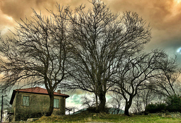 Autumn landscape, in Quézac in Lozère - Cévennes National Park