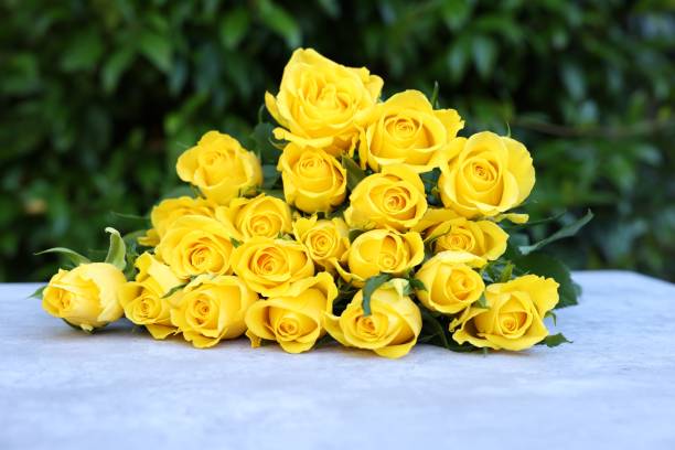 istock Beautiful bouquet of yellow roses on light table outdoors 1817462995