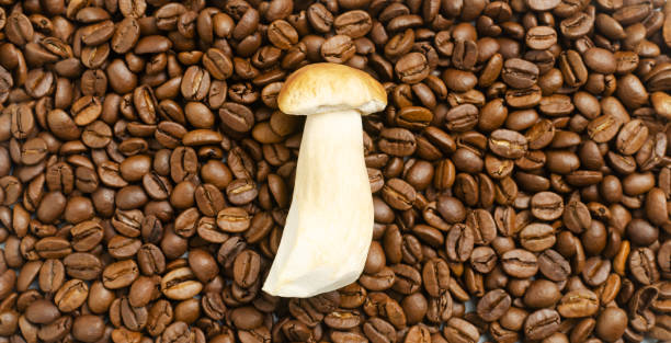 Background from coffee beans and one mushroom. The concept of a trendy beverage. The drink is good for health. Horizontal orientation. Selective focus. Top view stock photo