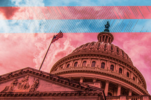 istock Critical Race Theory and a Divided Government 1817490833
