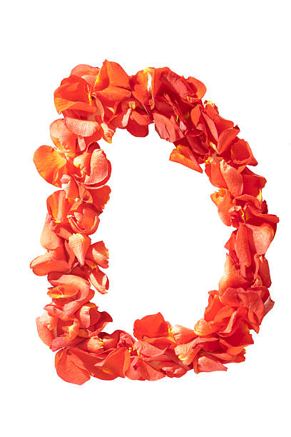 istock letter D of rose petals 181750439