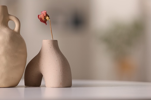 Vase with dried flower on white table in room, space for text