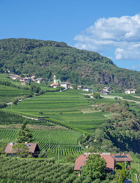 istock Tramin,South Tyrol,Italy 181754818