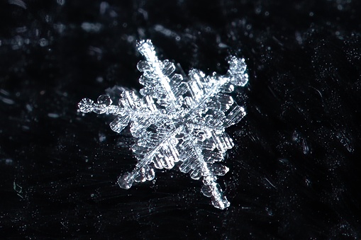 Individual frosty snowflakes lie crisp on a black background before melting, their individual identities gone forever