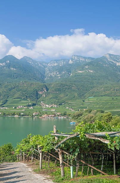 istock Lake Caldaro,South Tyrol,Italy 181757003