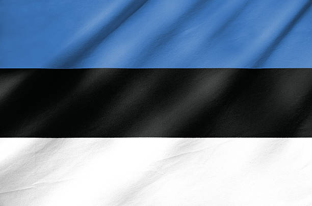 istock Flag of Estonia 181760555