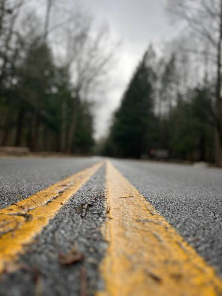 istock Road to the woods 1817622263