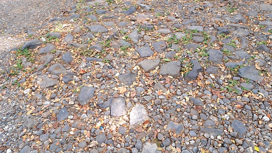 rocky ground, in a park environment for promotional media for buildings and hotels