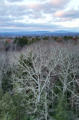 bare winter trees (view of mountains, fall) next to evergreen conifers (aerial view, drone shot, from above) forest, hiking, nature (deciduous woods, northeast) wilderness, wild, wood, tree, clear day