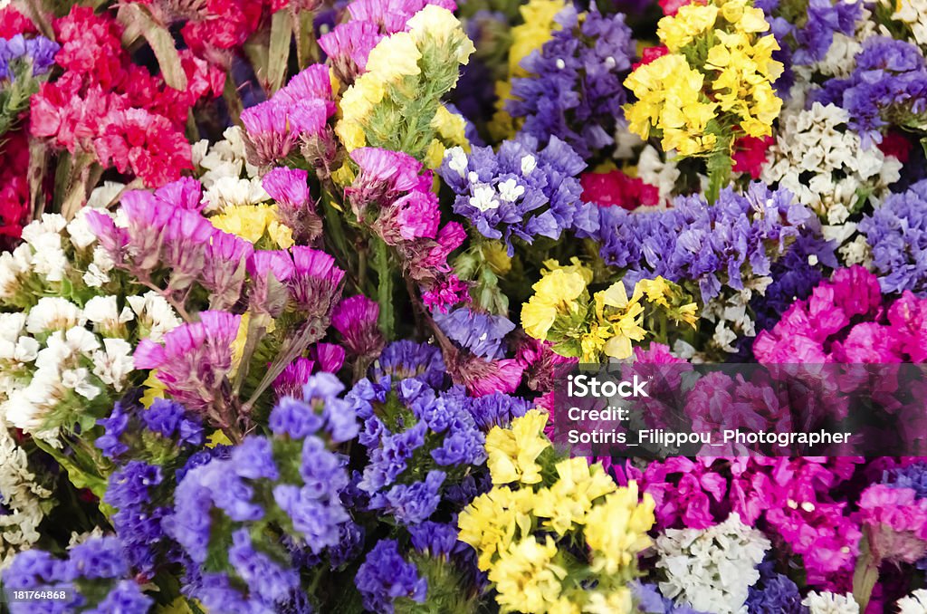 Color Paradise a beautiful composition of flowers ,colors and shapes  Greece 2013 Arrangement Stock Photo