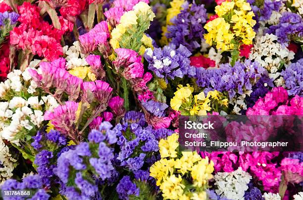 Color Paradise Stock Photo - Download Image Now - Arrangement, Artificial, Beauty